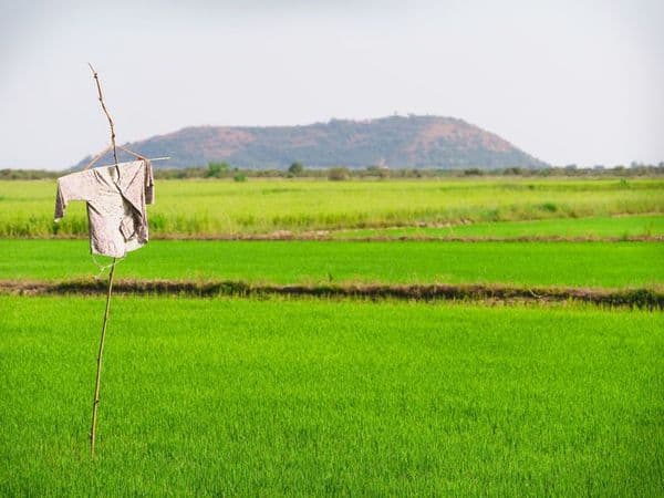 Nagoro, a vila japonesa com mais espantalhos do que moradores