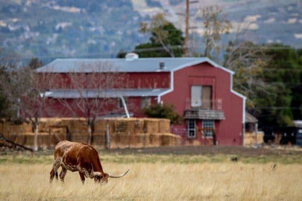 O Rancho Real por Trás de Dutton Ranch, Série Sucessora de Yellowstone